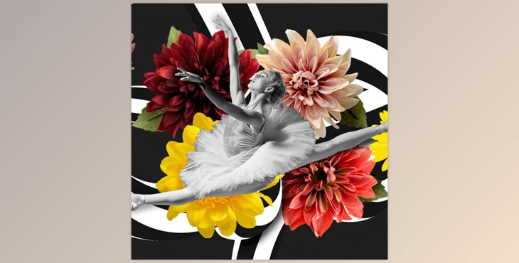 Xara - Download Photo & Graphic Designer+ v25.1.0.72372 (Win)