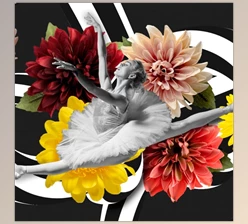 Xara - Download Photo & Graphic Designer+ v25.1.0.72372 (Win)
