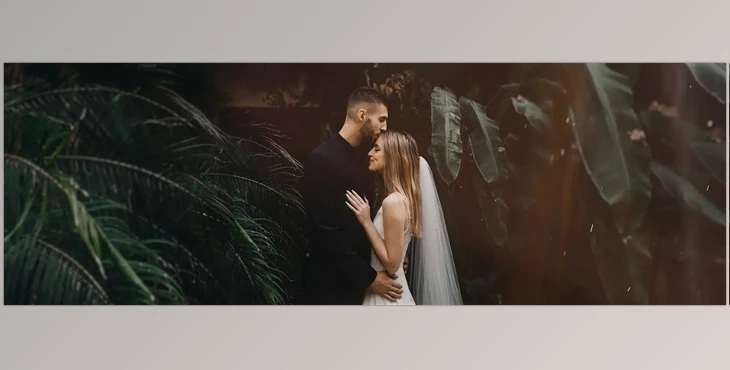 Download MotionVFX mWedding