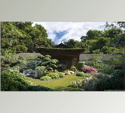 Download Maxtree – Plant Models Vol 35