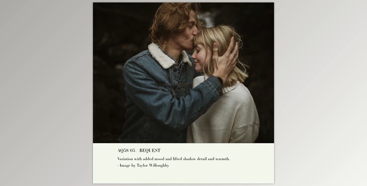 Download Archipelago Quest 38 – Bequest
