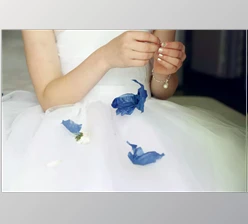 Download Imagehausweddings – Presets