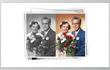 NeededApps - Download PhotosRevive v2.2.0 (<span class='badge badge-warning'>Mac</span>)