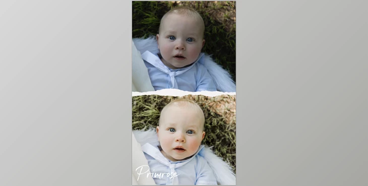 Download LIGHTROOM DESKTOP Primrose Preset Pack (6 Presets)