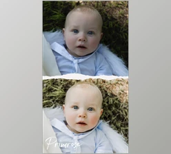 Download LIGHTROOM DESKTOP Primrose Preset Pack (6 Presets)