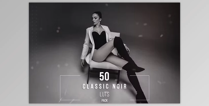 Download 50 Classic Noir LUT Collection - 281823314