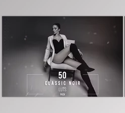 Download 50 Classic Noir LUT Collection - 281823314