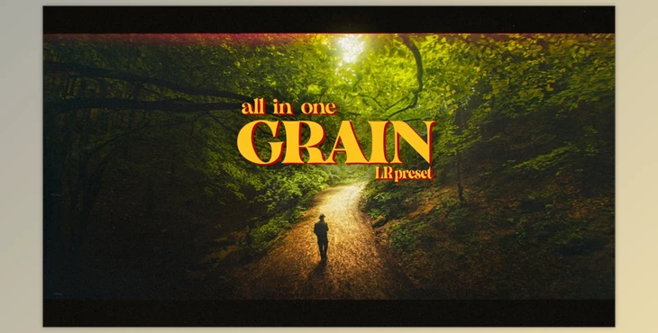 Download Vmoldo – All in one Grain [Lightroom preset] v2.001