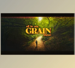 Download Vmoldo – All in one Grain [Lightroom preset] v2.001