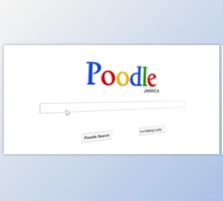 Download Search Engine Advertisement (Videohive 5531581) - AE Project