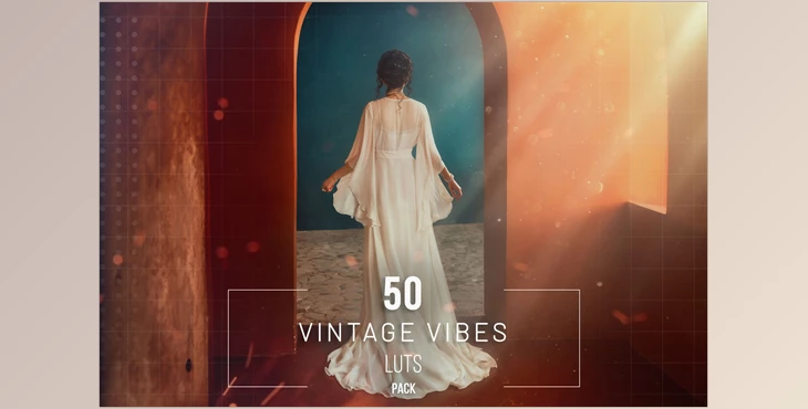 Download 50 Vintage Vibes LUTs Pack - 281823306