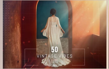 Download 50 Vintage <span class='badge badge-warning'>Vibes</span> LUTs Pack - 281823306