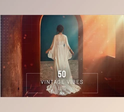 Download 50 Vintage Vibes LUTs Pack - 281823306