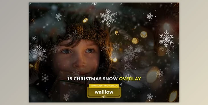 Download Snow and snowflakes photo overlays - 281004281