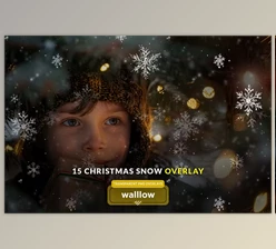 Download Snow and snowflakes photo overlays - 281004281