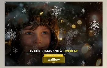 Download Snow and snowflakes photo <span class='badge badge-warning'>overlays</span> - 281004281