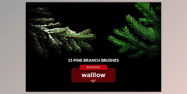 Download Christmas tree branches brushes 282484688