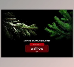 Download Christmas tree branches brushes 282484688