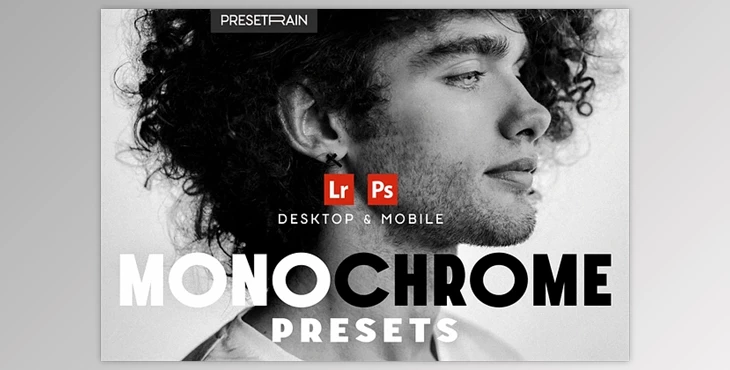 Download Monochrome Lightroom Presets - 281305110