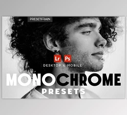Download Monochrome Lightroom Presets - 281305110