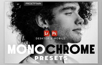 Download Monochrome <span class='badge badge-warning'>Lightroom</span> Presets - 281305110