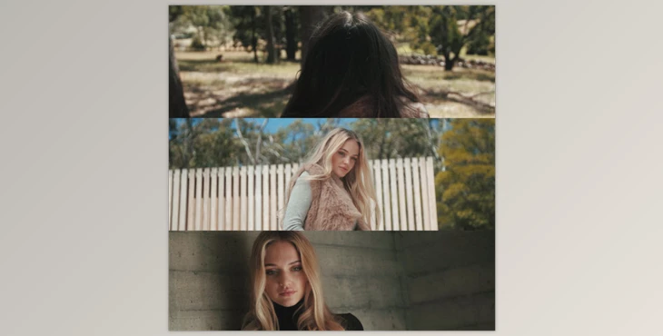 Download Joel famularo phantom luts for panasonic