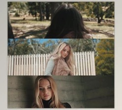 Download Joel famularo phantom luts for panasonic