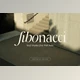 Download Fibonacci | Serif With Italic Font Creative Market - 286703919