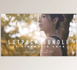 Download LutPacks SLOG Lut Pack Bundle (ALL 24 cinematic LUTs)