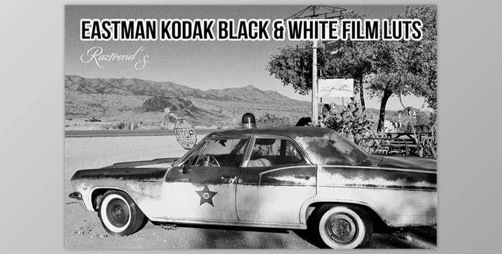 Download Eastman Kodak Black and White Films LUTs