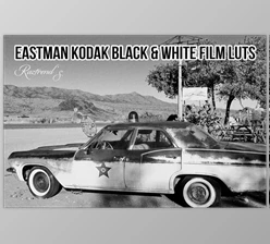 Download Eastman Kodak Black and White Films LUTs