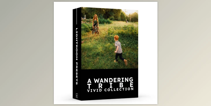 Download A Wandering Tribe - Vivid Presets Collection