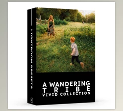 Download A Wandering Tribe - Vivid Presets Collection