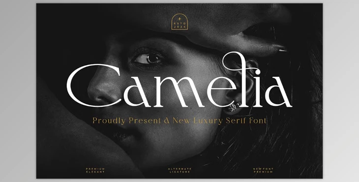 Download Camelia || Elegant Serif Font Creative Market - 289453734