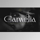 Download Camelia || Elegant Serif Font Creative Market - 289453734