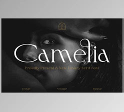 Download Camelia || Elegant Serif Font Creative Market - 289453734