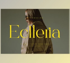Download Eclleria - Stylish Serif Font Creative Market - 289629821