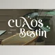 Download Cuaos Bestin || Serif Font Creative Market - 289453943
