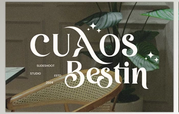 Download Cuaos Bestin || Serif <span class='badge badge-warning'>Font</span> Creative Market - 289453943