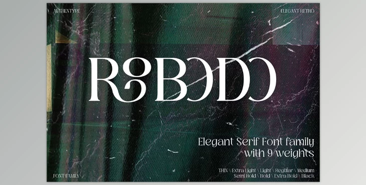 Download Robodo Serif Font Family Creative Market - 92031108