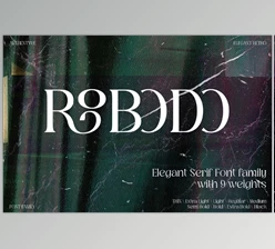 Download Robodo Serif Font Family Creative Market - 92031108