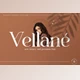 Download Vellane || Serif Font Creative Market - 289453865