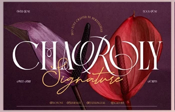 Download Charoly <span class='badge badge-warning'>Signature</span> Creative Market - 289660345