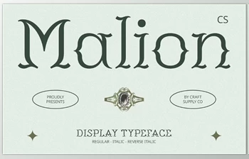 Download CS Malion – Classic <span class='badge badge-warning'>Font</span> Creative Market - 289454417