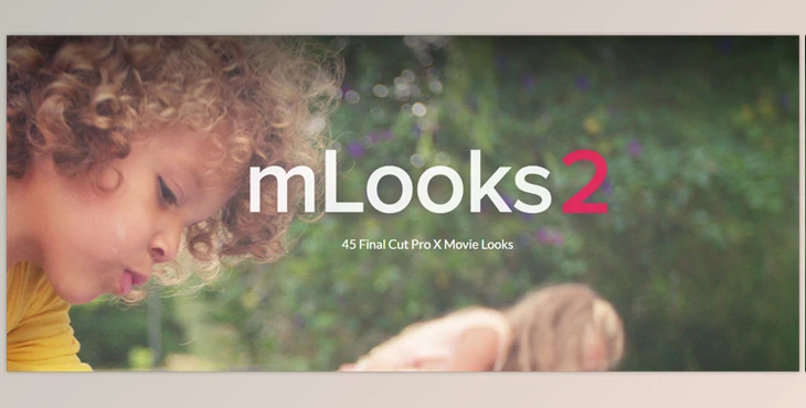 Download MotionVFX - mlooks2