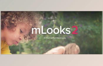 Download <span class='badge badge-warning'>MotionVFX</span> - mlooks2