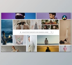 Download Search Logo Reveal for Davinci Resolve (Videohive 55501593)