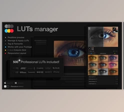 Download LUTs Manager: Real-Time Bulk Previews Tool & 500 LUTs for Effortless Professional Color Grading (Videohive 55741724) - AE Project