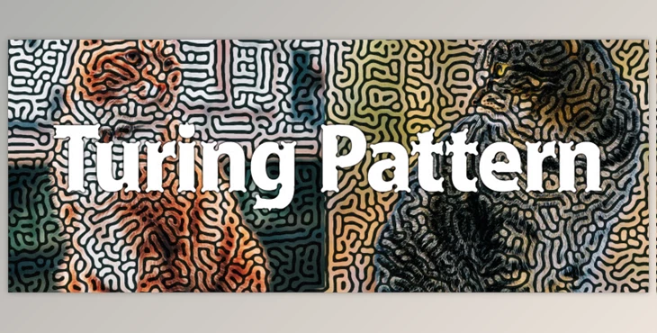 Download Aescripts Turing Pattern v1.1 (Win)