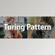 Download Aescripts Turing Pattern v1.1 (Win)